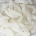 Artificial Maggot Bait 1