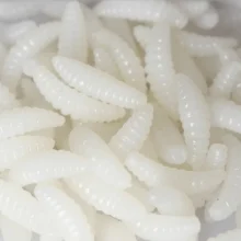Maggot Bait 
Artificial 50 Pack 
Suckerme ML50