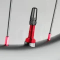 Red MTB tire Vale 1