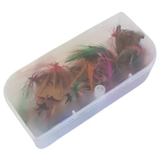 FFLS1 box 1