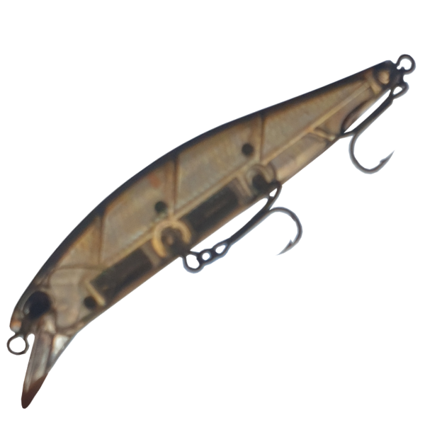See through shot of stickbait lure with 3 bearings