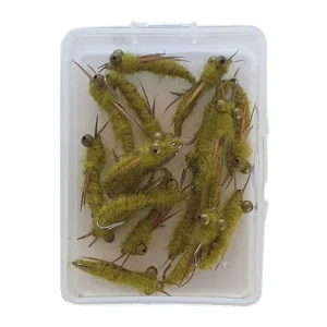 trout fly box green colour