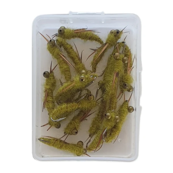 trout fly box green colour