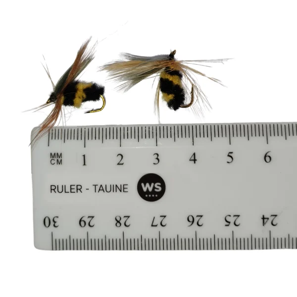 approximate dimmensions of suckerme bee flies