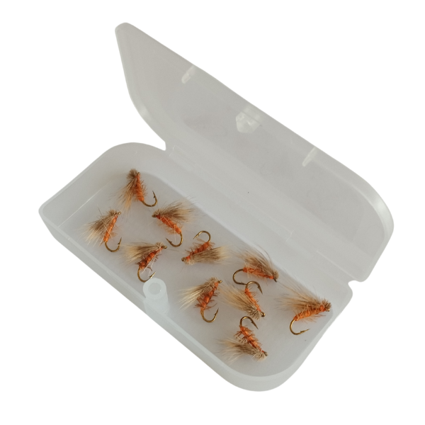 orange and brown fly insect bait in box with lid open