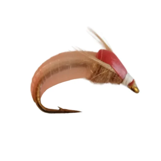 Red and White Nymph Fly