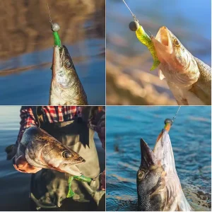Soft bait rigged on a jig head being used for fishing in the water