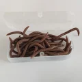 Brown 7.5cm scented soft plastic worm lure from the 30-piece freshwater fishing pack
