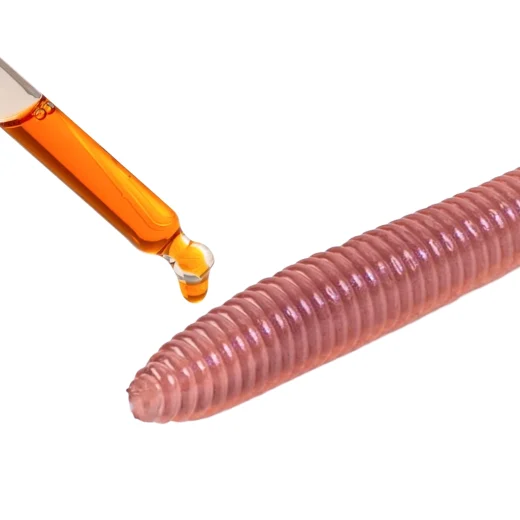 Close-up illustrating scented liquid attractant being added to a ribbed earthworm lure