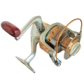 EF9000 large spinning reel shown from above with gold spool details and red-brown handle