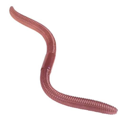 Flexible two-tone earthworm lure bent into a curved shape on a white background