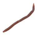 Segmented brown silicone earthworm-shaped fishing bait with a natural curved body