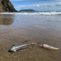 Suckerme 6oz grapnel sinker connected to a baited shore fishing rig near the surf